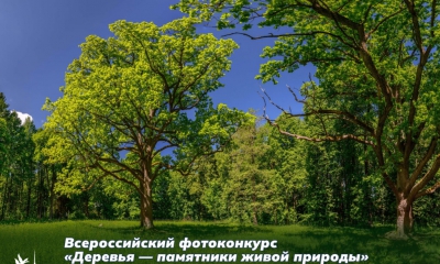 Стартовал всероссийский фотоконкурс «Деревья — памятники живой природы»
